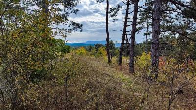 Прикрепленное изображение: i (4).jpg